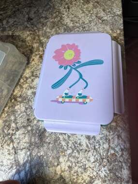 Bullseye's Playground Novelty Flower on Skateboard Bento Box